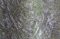 Box End fibreglass roof work